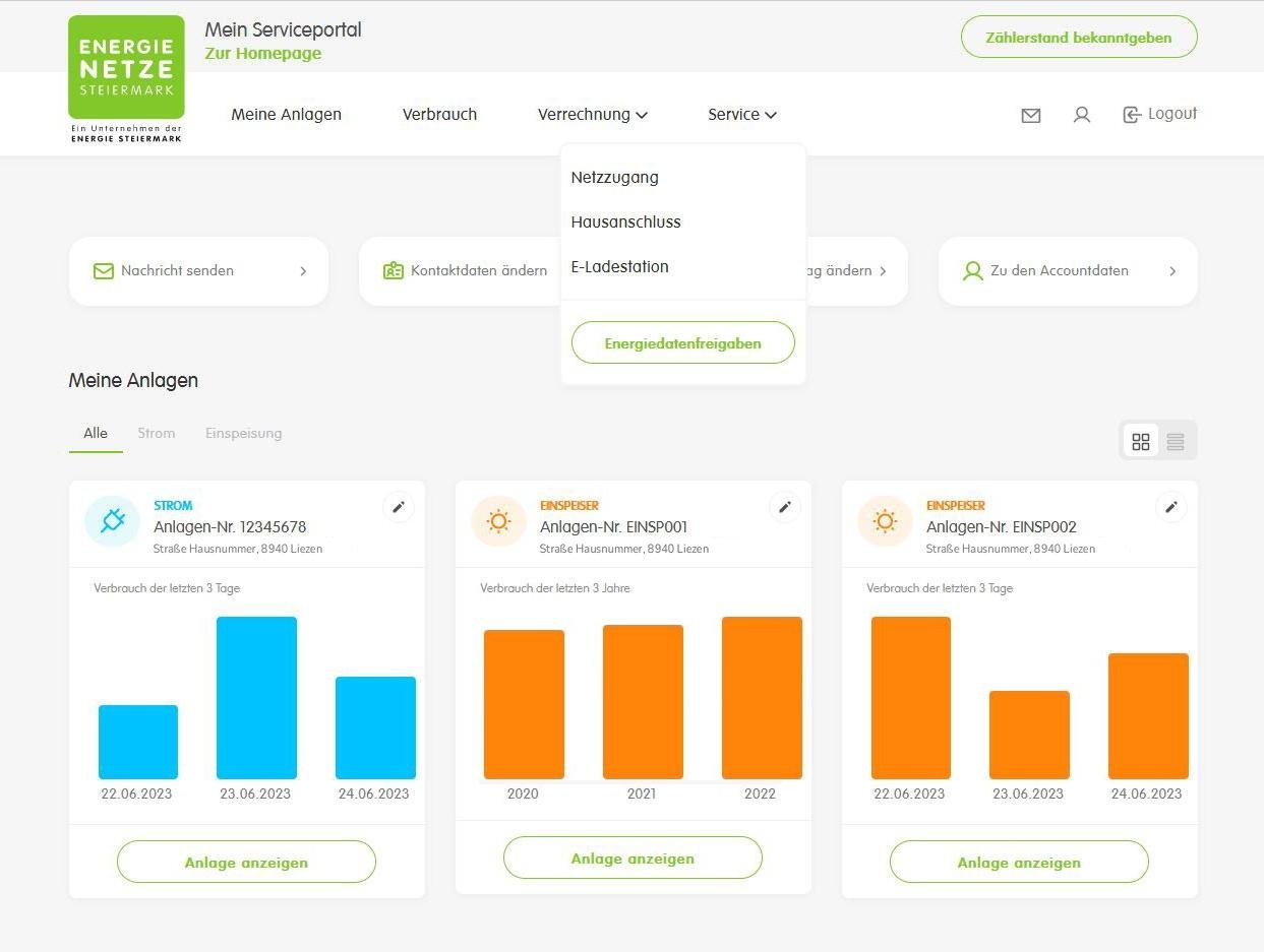 Serviceportal nach der Anmeldung: Menü Service aufgeklappt, darin der Knopf Energiedatenfreigaben