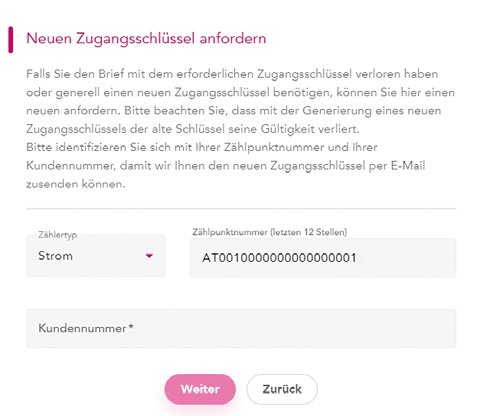 Formular Neuen Zugangsschlüssel anfordern mit Zählertyp, Zählpunktnummer und Kundennummer